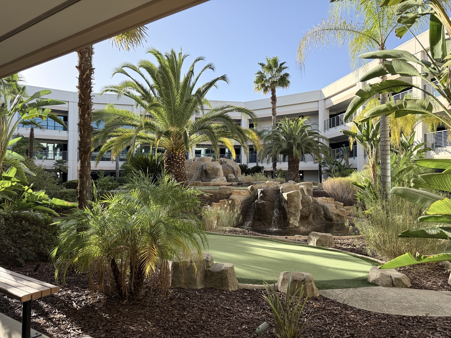 Landscaped courtyard outside the academy